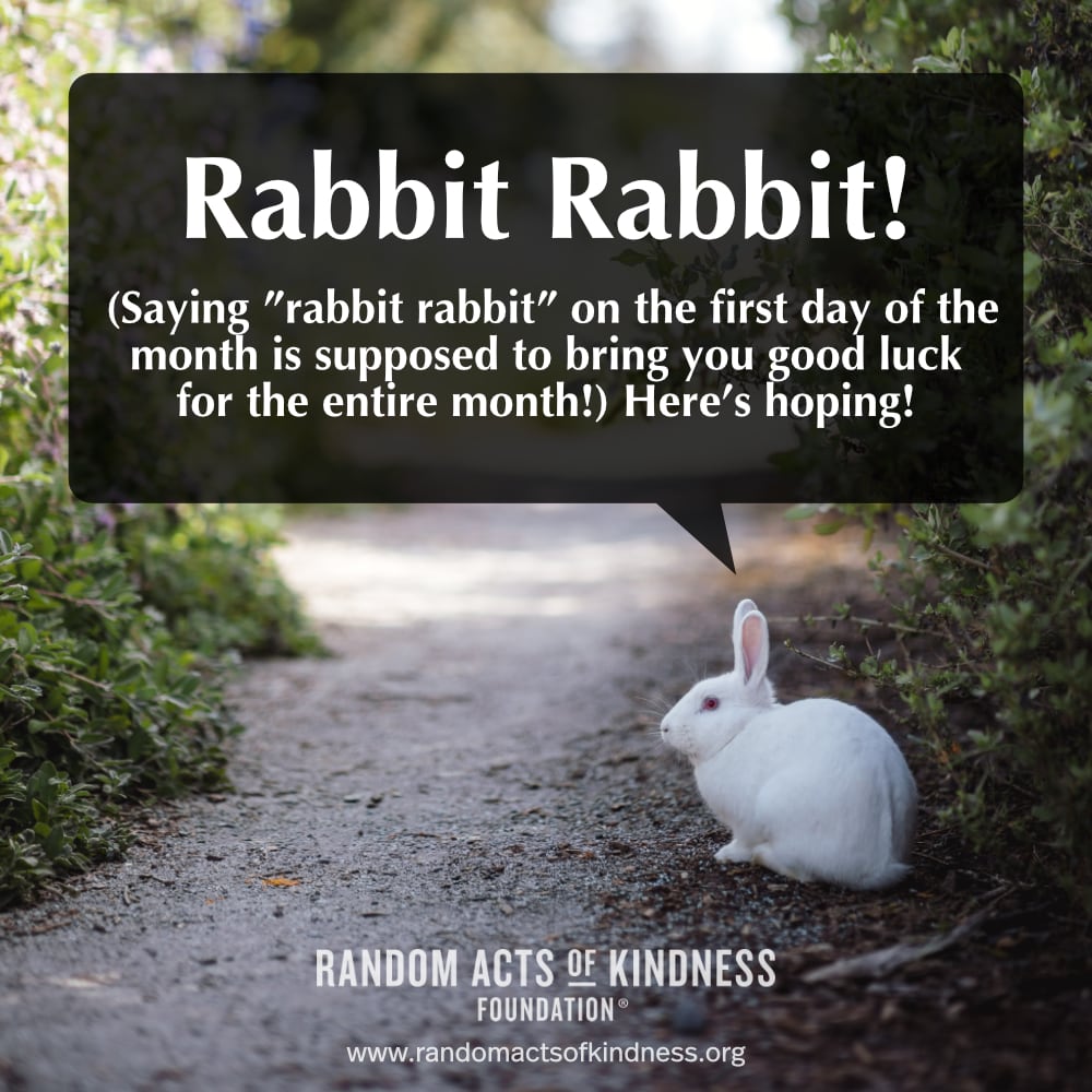 Rabbit Rabbit! (Saying 'rabbit rabbit' on the first day of the month is supposed to bring you good luck for the entire month!) Here's hoping! —Brooke