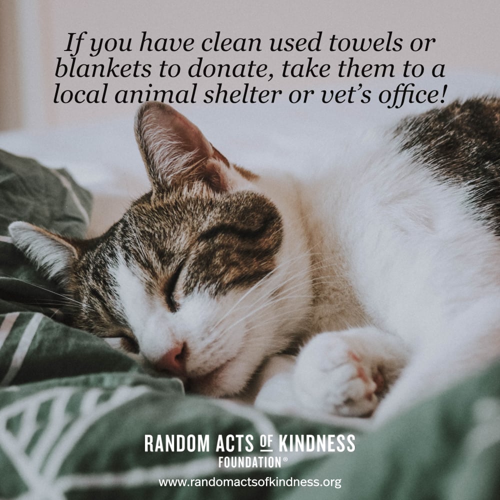 If you have clean used towels or blankets to donate, take them to a local animal shelter or vet's office! —Brooke 