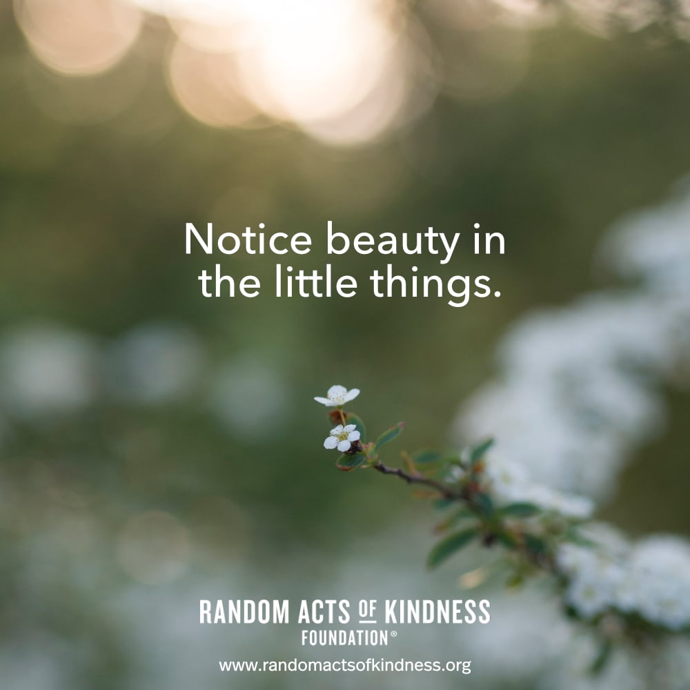 Notice beauty in the little things. —Brooke    