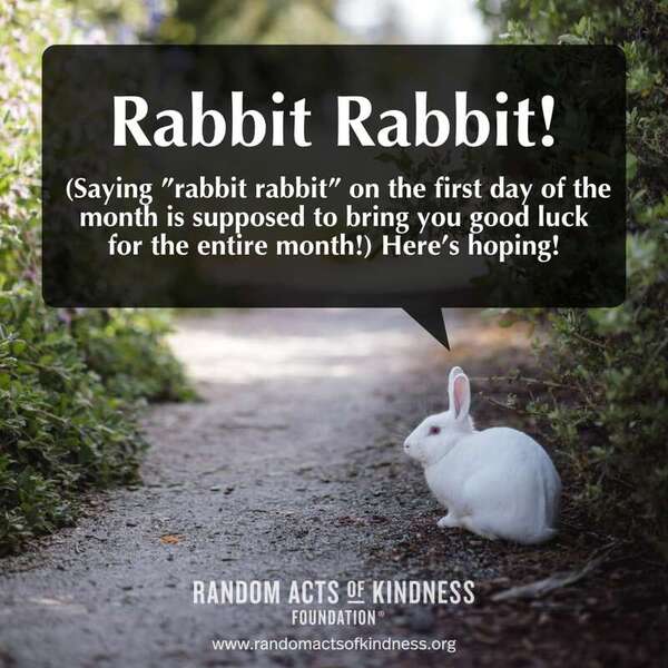 Rabbit Rabbit! (Saying 'rabbit rabbit' on the first day of the month is supposed to bring you good luck for the entire month!) Here's hoping! —Brooke