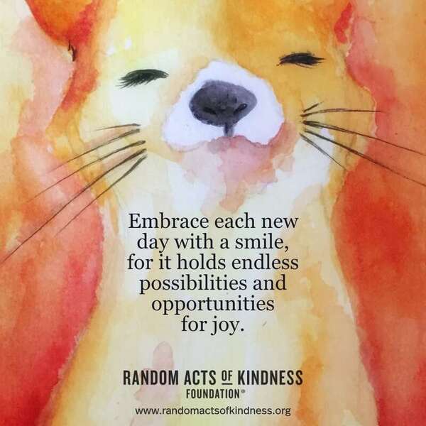 Embrace each new day with a smile, for it holds endless possibilities and opportunities for joy. —Brooke   