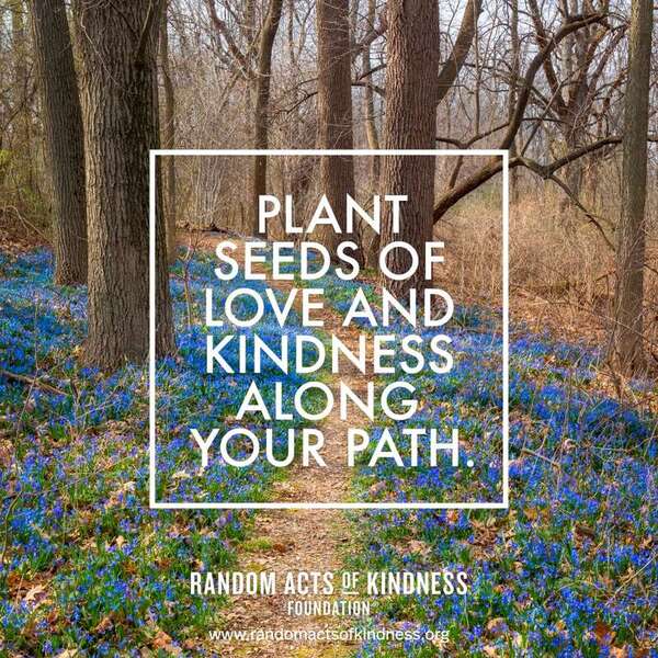 Plant seeds of love and kindness along your path. —Brooke