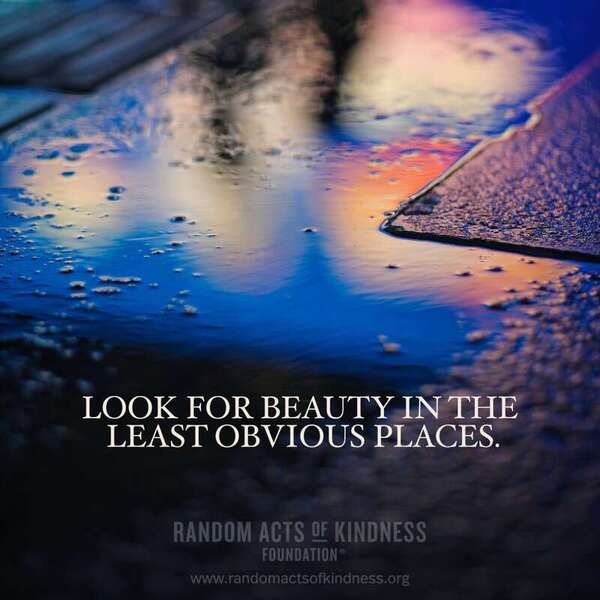 Look for beauty in the least obvious places. —Brooke