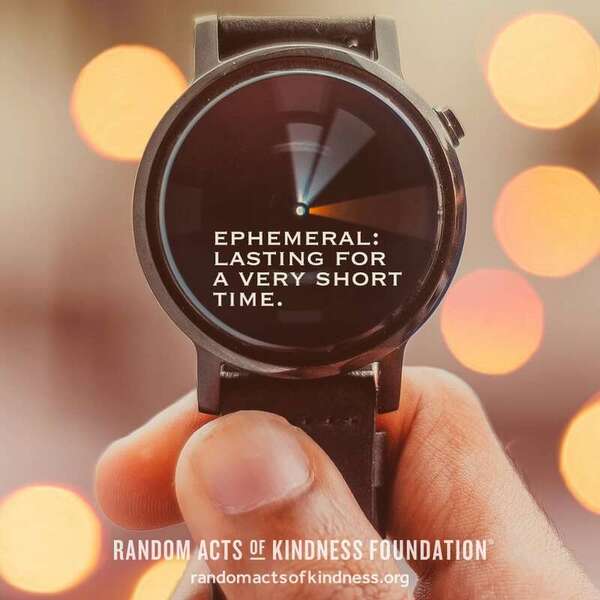 Ephemeral: Lasting for a very short time. —Brooke