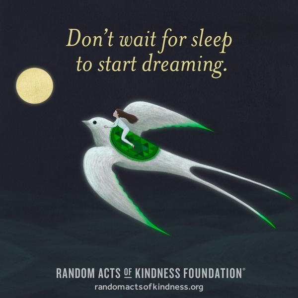 Don't wait for sleep to start dreaming. —Brooke