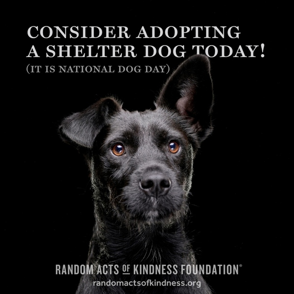 Consider adopting a shelter dog today! (It is National Dog Day) —Brooke