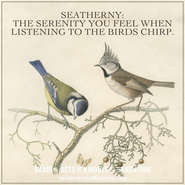 Seatherny: The serenity you feel when listening to the birds chirp.