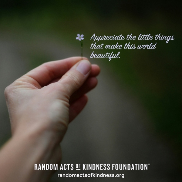 Appreciate the little things that make this world beautiful. —Brooke