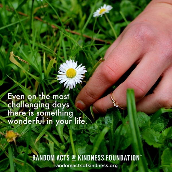 Even on the most challenging days there is something wonderful in your life. —Brooke