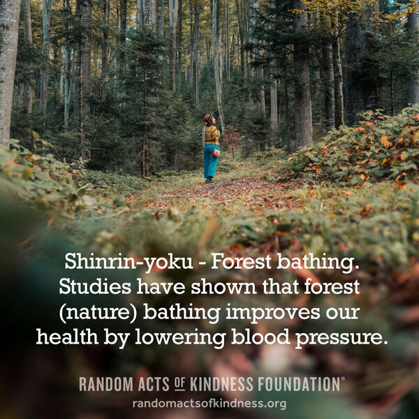 Shinrin-yoku - Forest bathing. Studies have shown that forest (nature) bathing improves our health by lowering blood pressure.