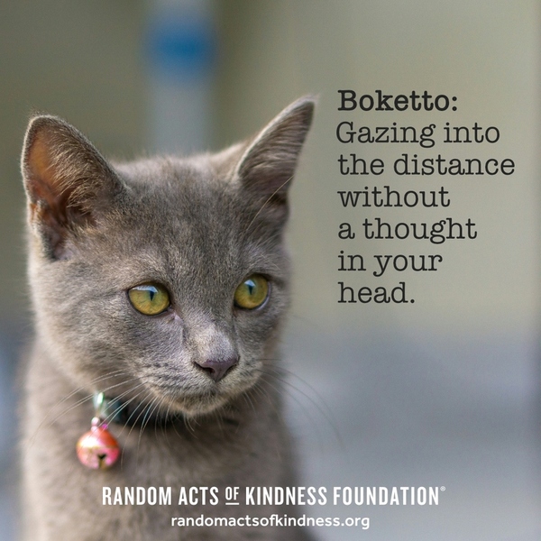 Boketto: gazing into the distance without a thought in your head.