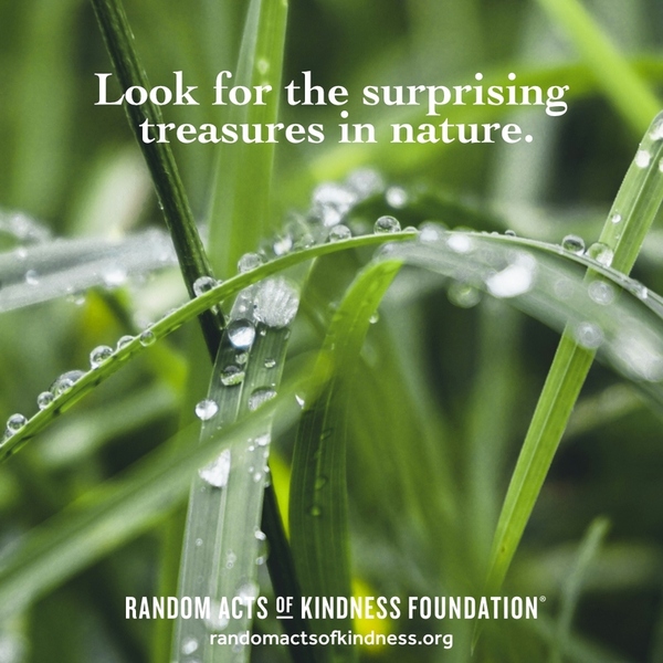 Look for the surprising treasures in nature. —Brooke