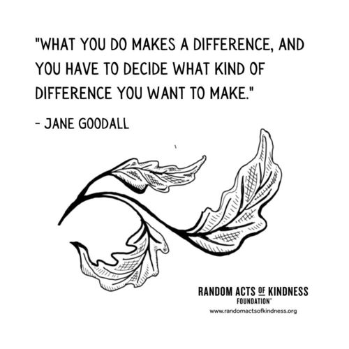 What you do makes a difference, and you have to decide what kind of difference you want to make Jane Goodall 