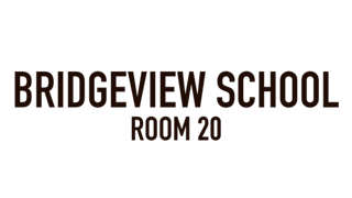 Bridgeview School, Room 20